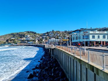 St Clair Beach / Esplanade Surf School