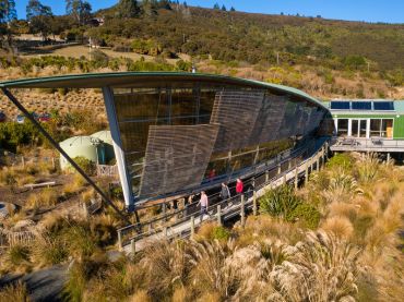 Orokonui Ecosanctuary